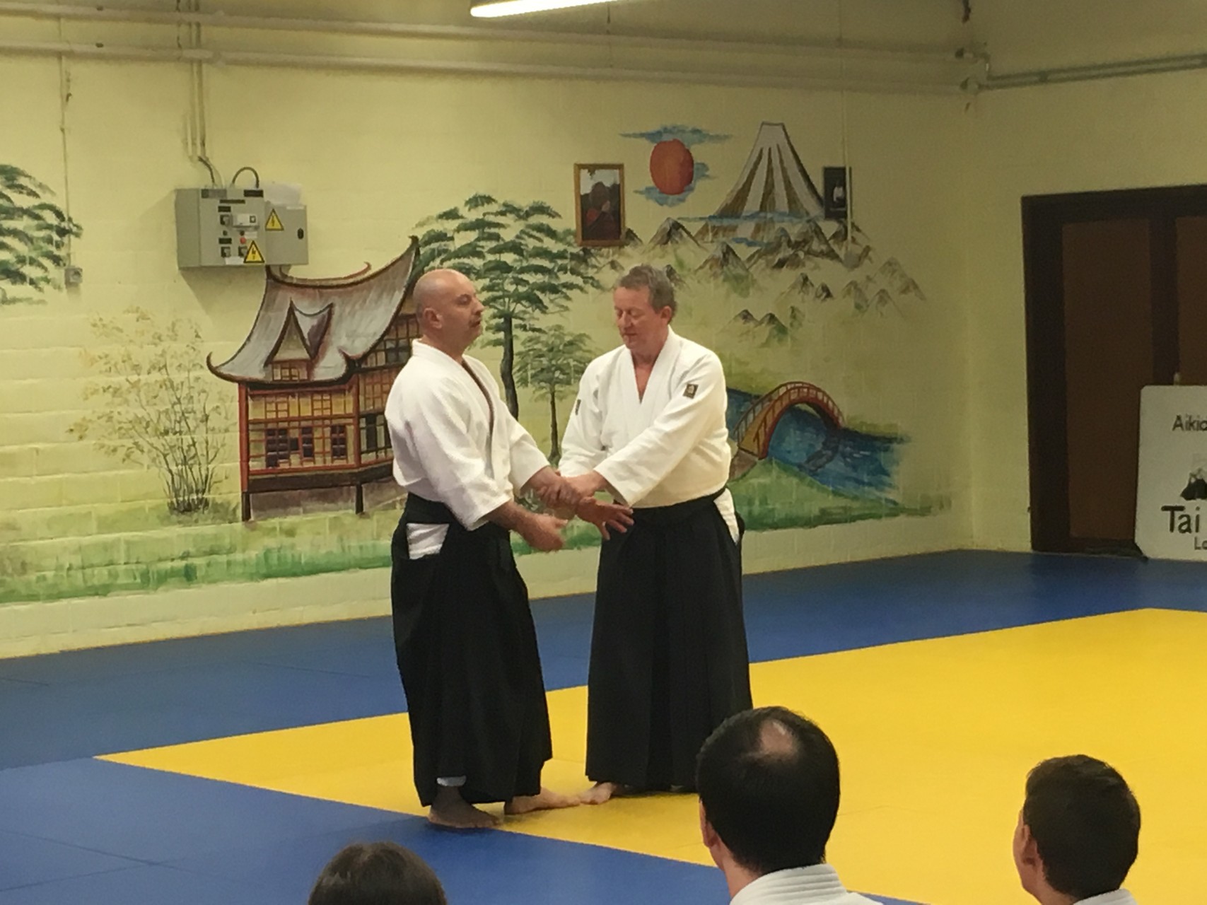 Read more about the article Foto’s Gastles bij Aikidoclub Tai Wa Lokeren
